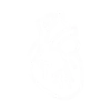 icon_b_04